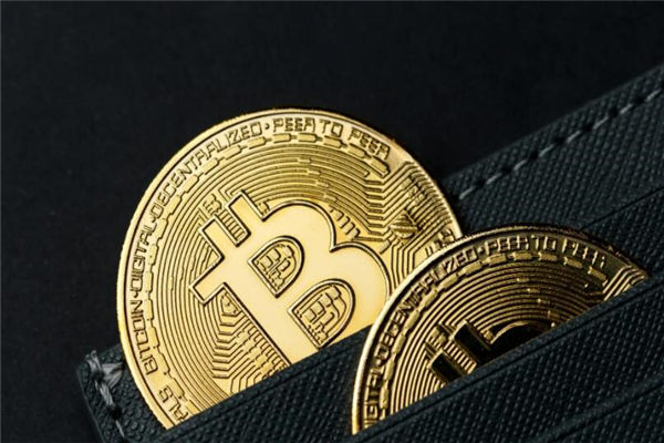 官方网站查询比特币