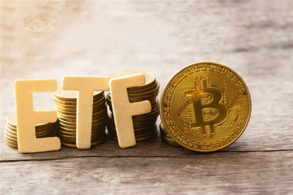 维卡币最新价格表，维卡币实时价格走势分析