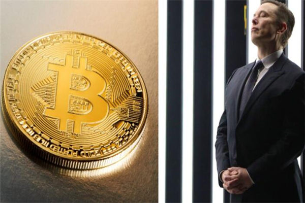 奇亚币今日报价