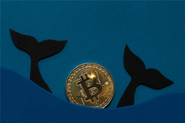 瑞波币今日行情2025